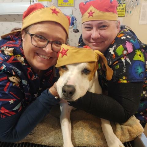 Wonder woman and Wonder dog!