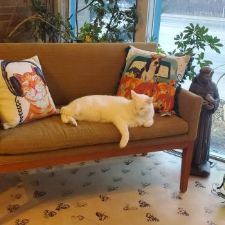 Mr. Pickles