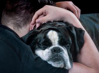 The Human Animal Bond